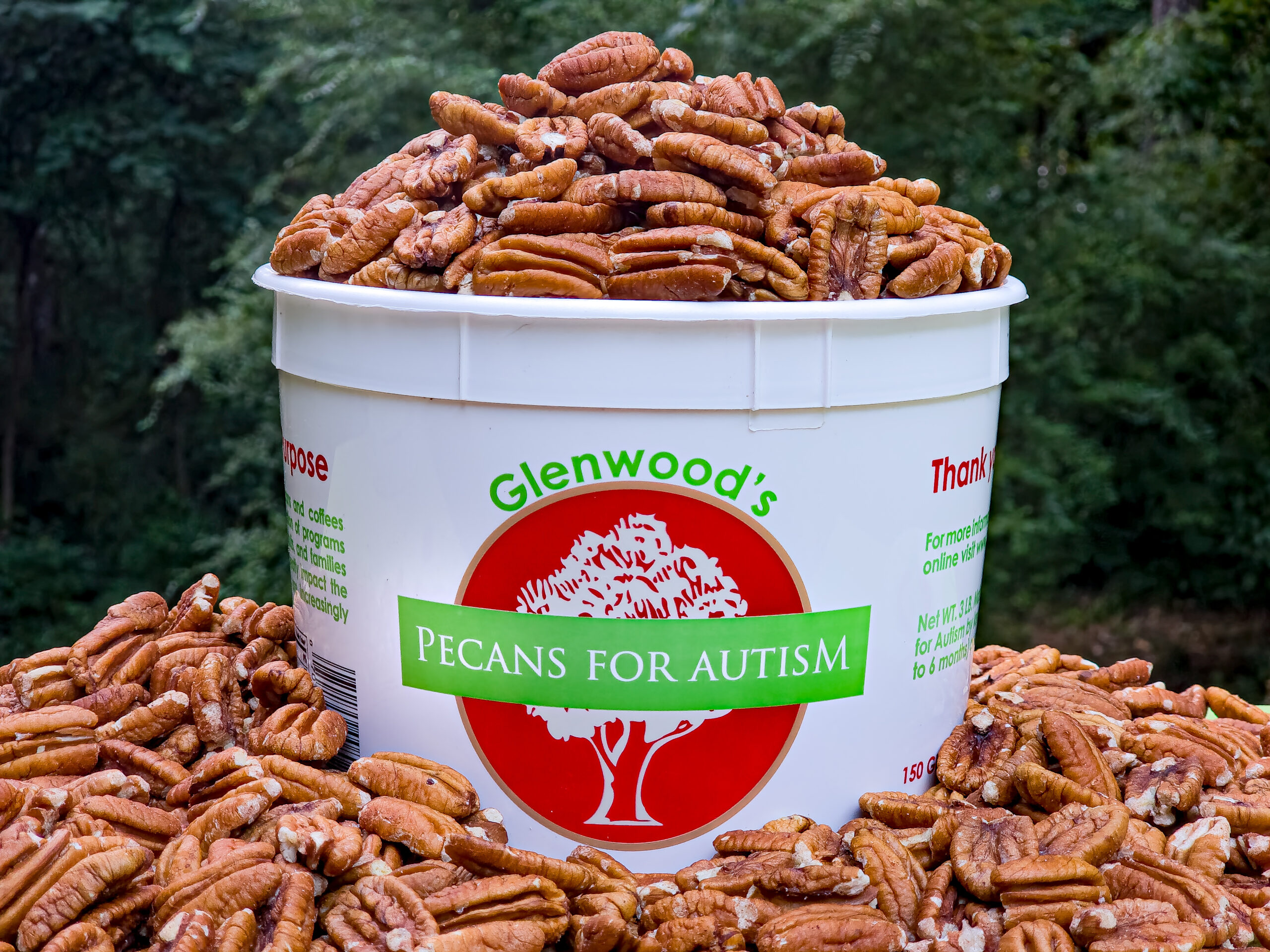 Mammoth Pecan Halves - 3 lbs.