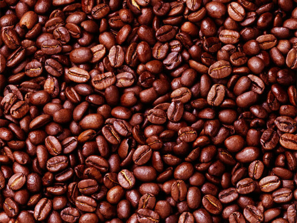 Toasted Cinnamon Pecan Coffee Decaf 12 oz.